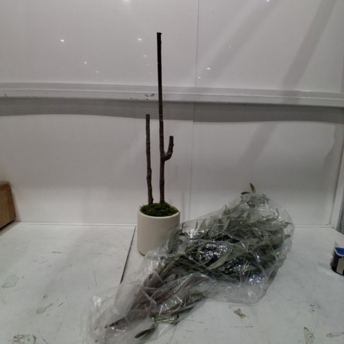 ALUPSSUC ARTIFICIAL OLIVE TREE WITH GREEN MOSS - 5FT - WHITE/GREEN/BROWN image 2