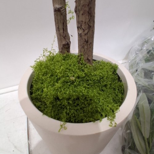 ALUPSSUC ARTIFICIAL OLIVE TREE WITH GREEN MOSS - 5FT - WHITE/GREEN/BROWN image 4