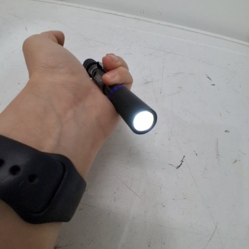 POLICE SECURITY CAVALIER LED FLASHLIGHT - 170LM - BLACK image 2