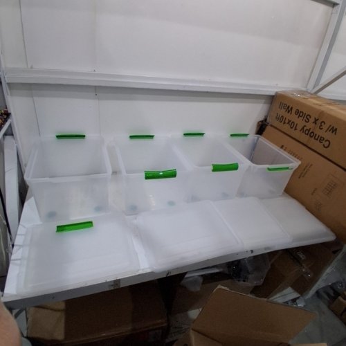 4PK IRIS STORE AND SLIDE LETTER AND LEGAL SIZE FILE BOX - GREEN HANDLE, CLEAR, 34 QUART (585240) SS-FB21 image 2