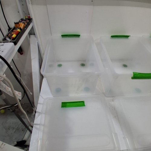 4PK IRIS STORE AND SLIDE LETTER AND LEGAL SIZE FILE BOX - GREEN HANDLE, CLEAR, 34 QUART (585240) SS-FB21 image 4