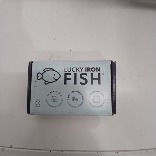 THE ORIGINAL 'LUCKY IRON FISH' IRON SUPPLEMENT ALTERNATIVE TO REDUCE DEFICIENCY image 2