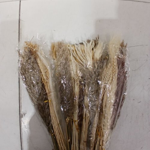ASSORTED BANNIFLL DRIED PAMPAS GRASS BOUQUET - 17" - BUNNY TAILS DRIED FLOWERS, BROWN POMPAS, WHITE PAMPAS GRASS image 4