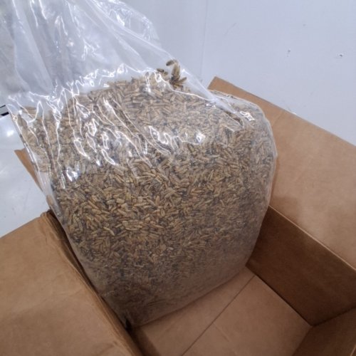 GREENEST TREATS STORE DRIED BLACK SOLDIER FLY LARVAE - 11LBS image 3