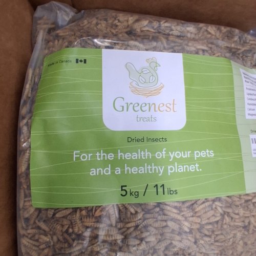 GREENEST TREATS STORE DRIED BLACK SOLDIER FLY LARVAE - 11LBS image 5