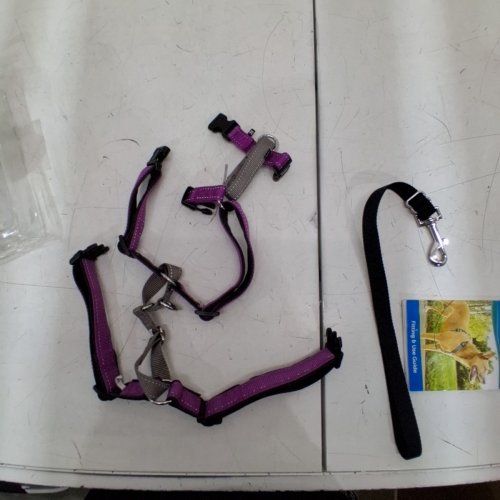 2PC PETSAFE 3 IN 1, NO PULL WALKING, FRONT LEASH ATTACHMENT, STANDARD HARNESS WITH BACK LEASH ATTACHMENT, CAR SAFETY RESTRAINT, ADJUSTABLE, PADDED STRAPS, REFLECTIVE NYLON, DOG HARNESS- MEDIUM - PLUM PURPLE image 2