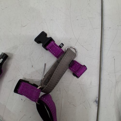 2PC PETSAFE 3 IN 1, NO PULL WALKING, FRONT LEASH ATTACHMENT, STANDARD HARNESS WITH BACK LEASH ATTACHMENT, CAR SAFETY RESTRAINT, ADJUSTABLE, PADDED STRAPS, REFLECTIVE NYLON, DOG HARNESS- MEDIUM - PLUM PURPLE image 3