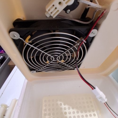 OKKOBI AUTOMATIC TURNING & HUMIDITY CONTROL 12 EGG INCUBATOR - WHITE (MODEL: OBI-12) image 4