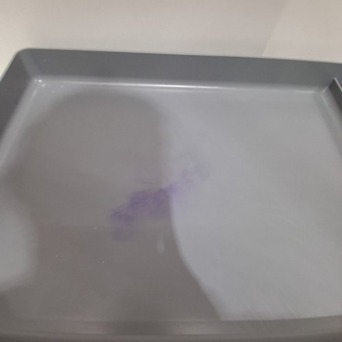 PETSAFE SCOOPFREE REUSABLE TRAY - COMPATIBLE WITH ALL PETSAFE SCOOPFREE AUTOMATIC SELF CLEANING LITTER BOXES (MODEL: ZAC60-15710) image 3