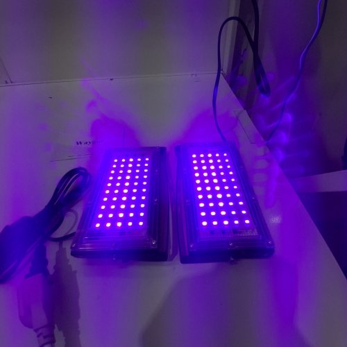 2PK WAYGOR LED BLACK LIGHT PANELS - 8" - BLACK image 2