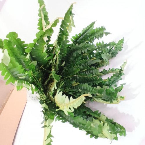 ARTIFICIAL FERN PLANT - 30" - GREEN image 2