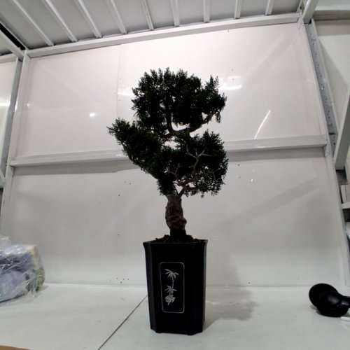 NEARLY NATURAL 36" DECORATIVE CEDAR BONSAI TREE, SILK (GREEN/BROWN) (M#:/4106) image 2