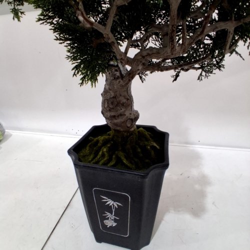 NEARLY NATURAL 36" DECORATIVE CEDAR BONSAI TREE, SILK (GREEN/BROWN) (M#:/4106) image 3