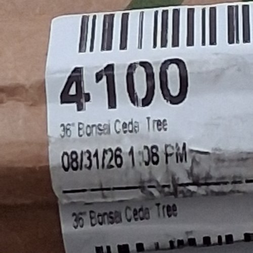 NEARLY NATURAL 36" DECORATIVE CEDAR BONSAI TREE, SILK (GREEN/BROWN) (M#:/4106) image 4