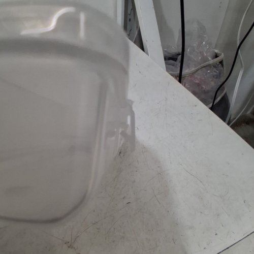 PLASTIC TACKLE STORAGE ORGANIZER CASE - 6 1/2" X 3 5/8" X 1 1/8" - CLEAR image 5