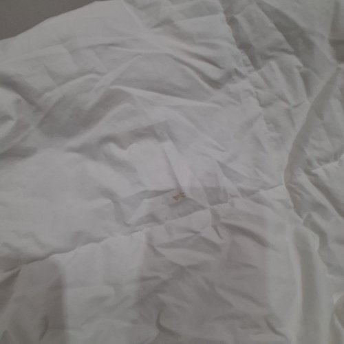 FEATHER DUVET - KING - WHITE image 8