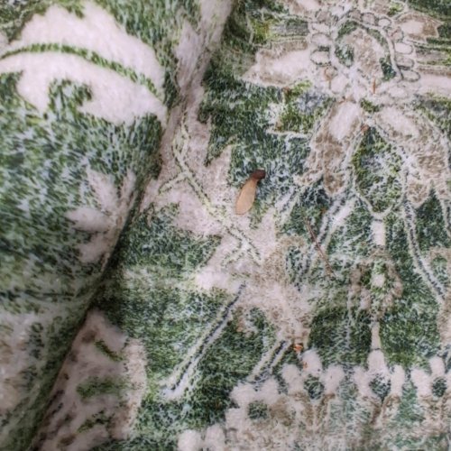 OPPODREAM ULTRA SOFT MACHINE WASHABLE LOW PILE FAUX CASHMERE LIVING ROOM AREA RUG CARPET - 10FT X 14FT - VINTAGE DISTRESSED GREEN image 3