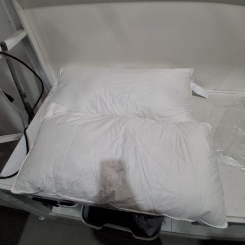 2PK ROOTS HOME PREMIUM LUXURY PILLOW - 300 THREAD COUNT - KING - WHITE (MODEL: 8007504) image 2