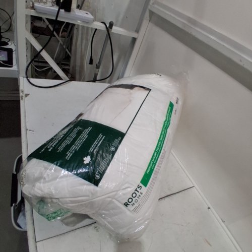 2PK ROOTS HOME PREMIUM LUXURY PILLOW - 300 THREAD COUNT - KING - WHITE (MODEL: 8007504) image 3