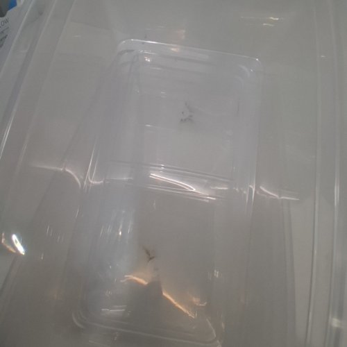 18PK PLASTIC STORAGE CONTAINERS WITH LIDS - 12.5" X 7.5" X 4.25" - CLEAR image 4