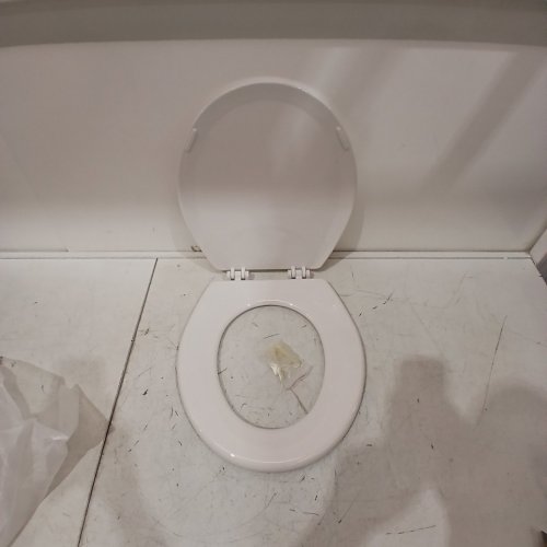 CENTOCO ROUND CENTOCORE WOOD TOILET SEAT - WHITE ( MODEL- DS700-001) image 2