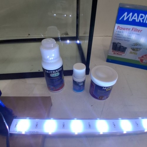 MARINA 10GAL LED AQUARIUM KIT image 4