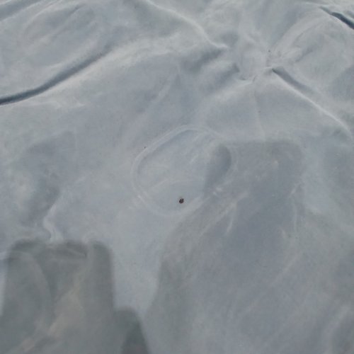 TILVIEW HIGH RAISED AIR MATTRESS WITH BUILT IN PUMP AND CARRY BAG, 18.5" H - QUEEN 80" X 62" - WHITE/BLUE (MODEL: 29P381US) image 3