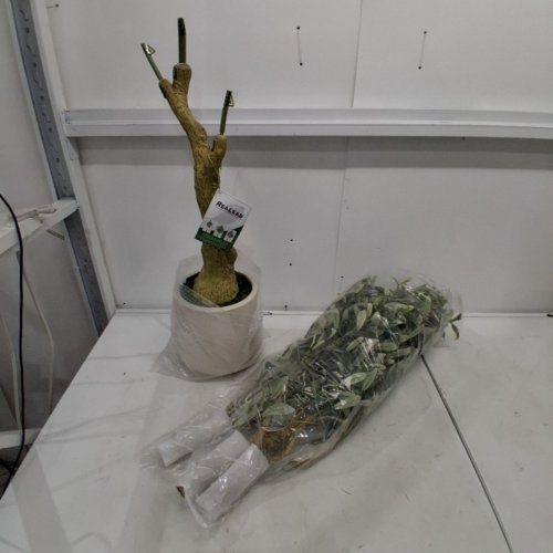 REALEAD ARTIFICIAL FAUX POTTED OLIVE SILK TREE WITH BRANCHES AND FRUITS - 5FT - WHITE image 2