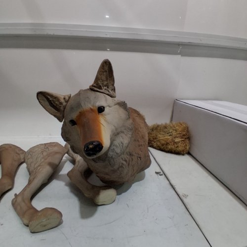 FLAMBEAU LONE HOWLER COYOTE DECOY (MODEL: 5985MS-1) image 3