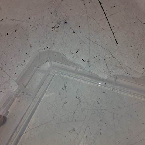 BANKERS BOX STORAGE BOX - 18.5L - CLEAR - (MODEL:7730503) image 3