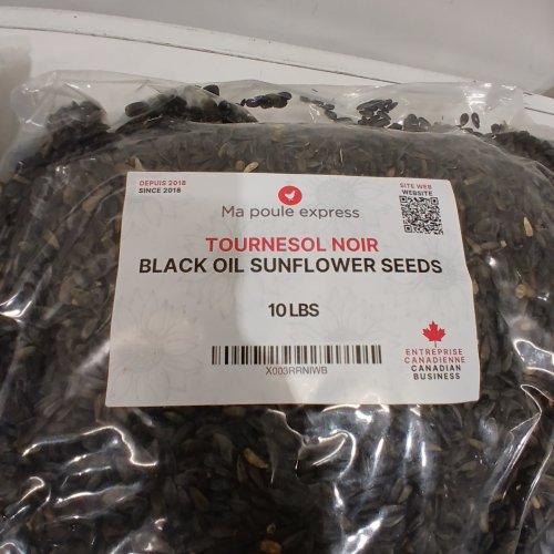MA POULE EXPRESS BLACK OIL SUNFLOWER SEEDS FOR BIRDS - 20 LBS image 2