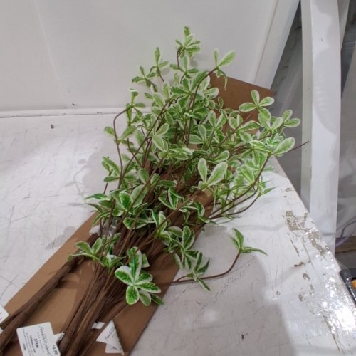 4 HEARTH & HAND WITH MAGNOLIA TERMINALIA LEAF STEM - 36" - GREEN/BROWN image 3