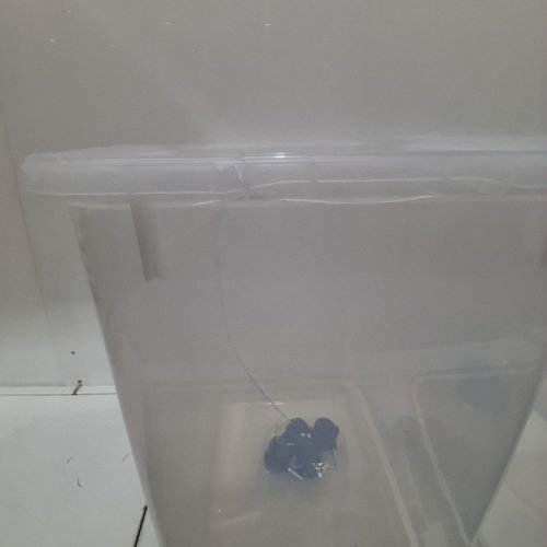 2PK IRIS USA DOG FOOD STORAGE CONTAINER WITH WHEELS - 31.2L - BLACK/CLEAR (MODEL: MP-8) image 3