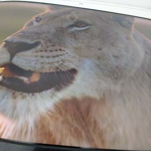 DELL LED COMPTUER MONITOR - 2560 X 1440 QHD @ 60 HZ - 24" - BLACK (MODEL: P2418D) image 5