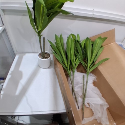 ARTIFICIAL DRACAENA TREE - 4FT - GREEN/WHITE image 3