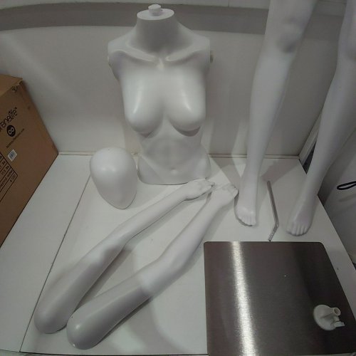 SERENELIFE FEMALE MANNEQUIN BODY W/ DETACHABLE PARTS, MULTIPLE POSES (WHITE) (M#:/SLMAQFE) image 3