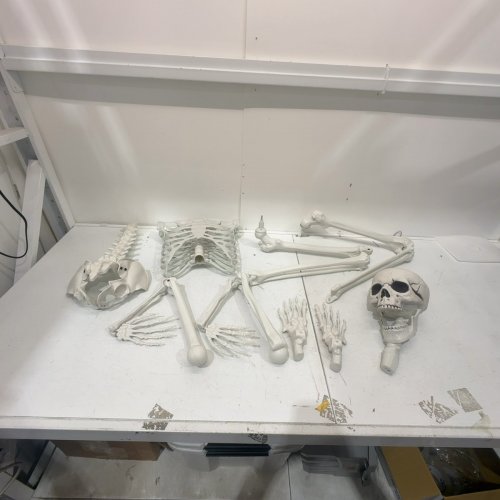 IDMOP PLASTIC GIANT LIFE SIZE POSABLE SKELETON WITH MOVABLE JOINTS - 7.9FT - white image 2