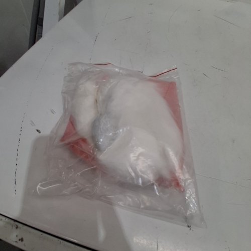 2PC CAT EARS AND MEDIUM STAINLESS STEEL BUTT PLUG TAIL - WHITE EARS / WHITE TAIL image 3