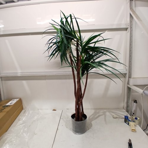 ARTIFICAIL DRACAENA TREE - 4FT - GREEN image 2