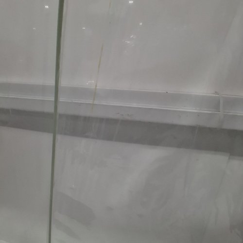 THE WEATHER STATION BUBBLE DOME CLEAR UMBRELLA - 52" ARC - WHITE/CLEAR (MODEL: WS510-WHITE) image 4
