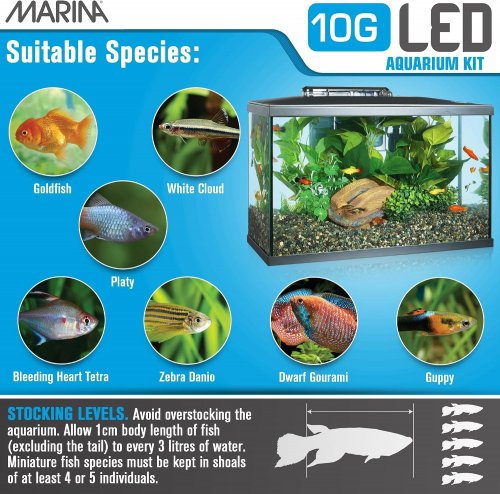 MARINA LED AQUARIUM KIT - 10 GAL - CLEAR/BLACK (MODEL: 15256A1) image 3