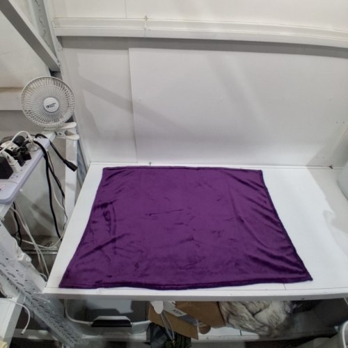 PLUSH PET BLANKET - 28" X 40" - PURPLE image 2