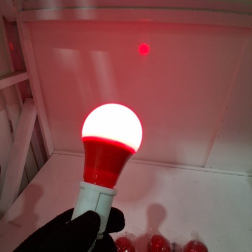 2 (2PK) LAMPTOBE LED SLEEP LIGHT BULBS (4 TOTAL) - A19 - E26 - 9W - RED image 2