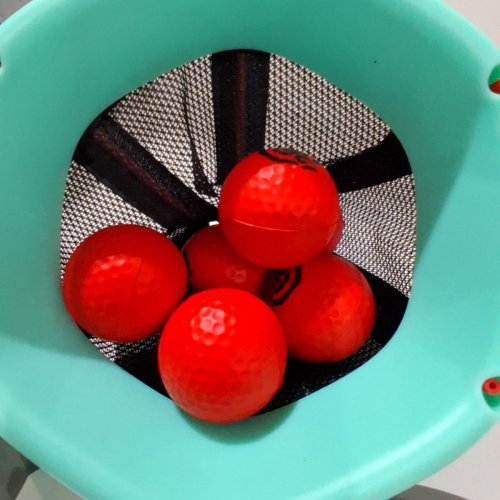 CHILLAFISH DODGI GAME image 3