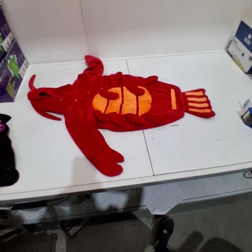 INFANT LUCKY LOBSTER BUNTING COSTUME - 0-6 MONTHS - RED ORANGE image 2