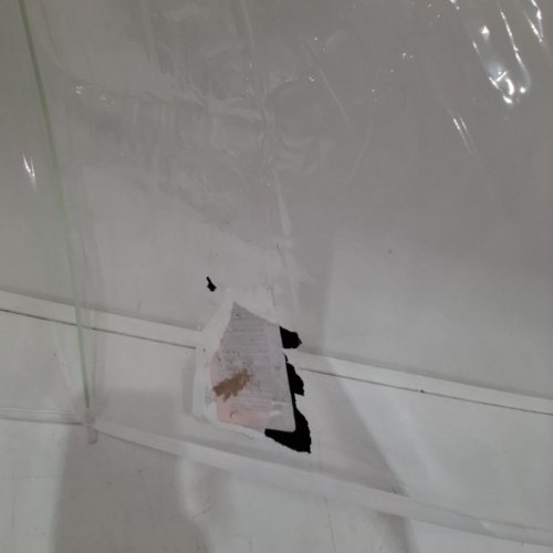 AMAZON BASICS UMBRELLA - 35" - CLEAR image 3