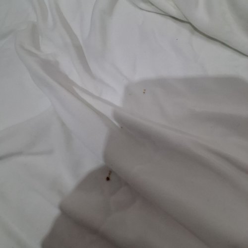 3PC AMAZON BASICS BEDSHEET SET WITH FITTED SHEET FLAT SHEET AND PILLOW SHAM - ALASKAN KING - WHITE image 3