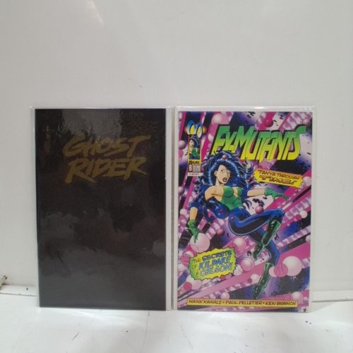 4 ASSORTED MALIBU, MARVEL, DC, AND VALIANT COMIC BOOKS - ARCHER AD ARMSTRONG #17, ROBIN II THE JOKER'S WILD #1, GHOST RIDER #40, EX-MUTANTS #6 - VARIOUS AUTHORS image 4