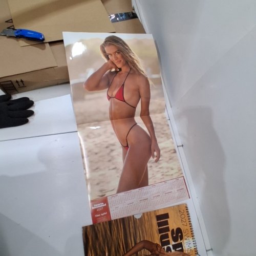 2027 SPORTS ILLUSTRATED SWIMSUIT DELUXE WALL CALENDAR image 4
