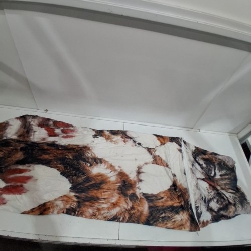 PLUSH KID'S CAT SLEEPING BAG FOR CAMPING, SLEEPOVERS - 5FT X 2FT - CAT PRINT image 2